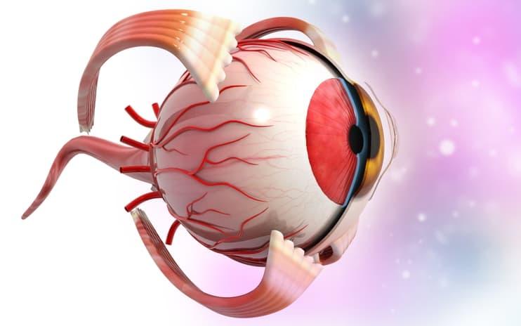 dry-macular-degeneration