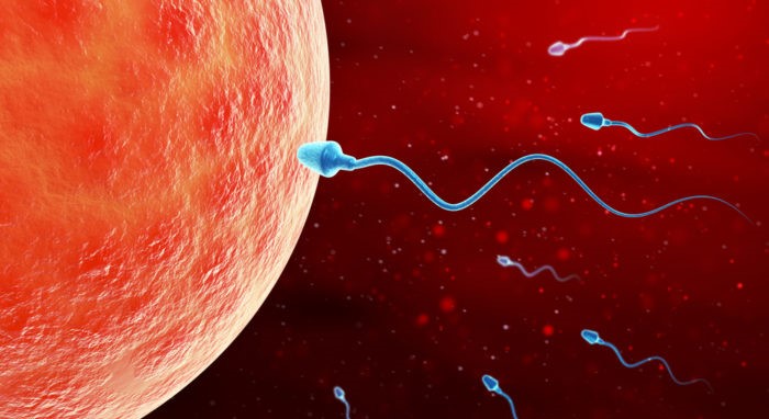 pregnancy-week1