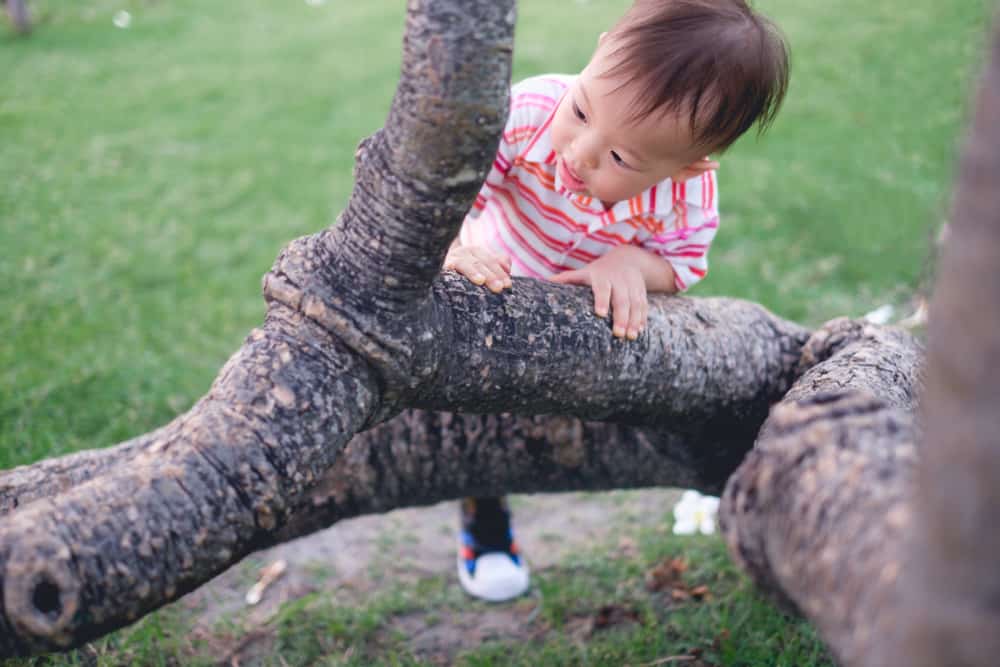 18-month-old