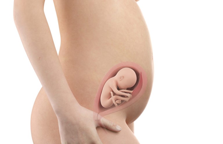 pregnancy-week24