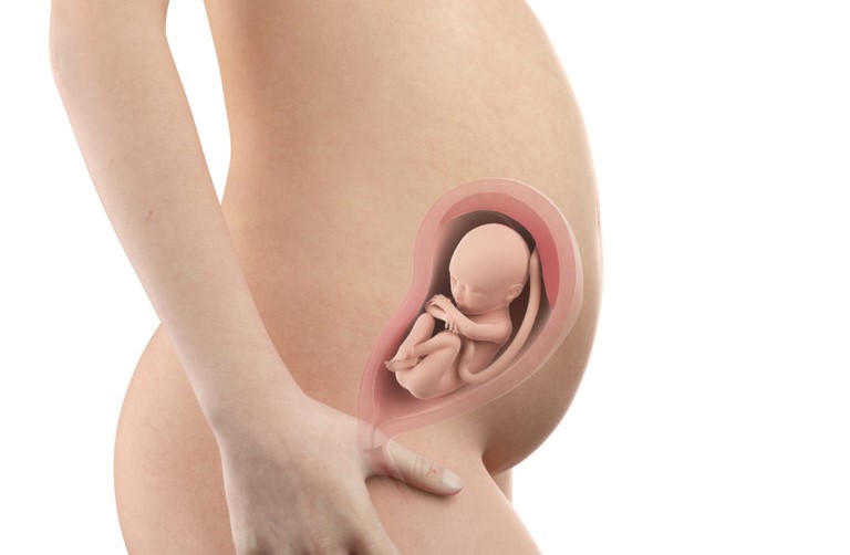 pregnancy-week27