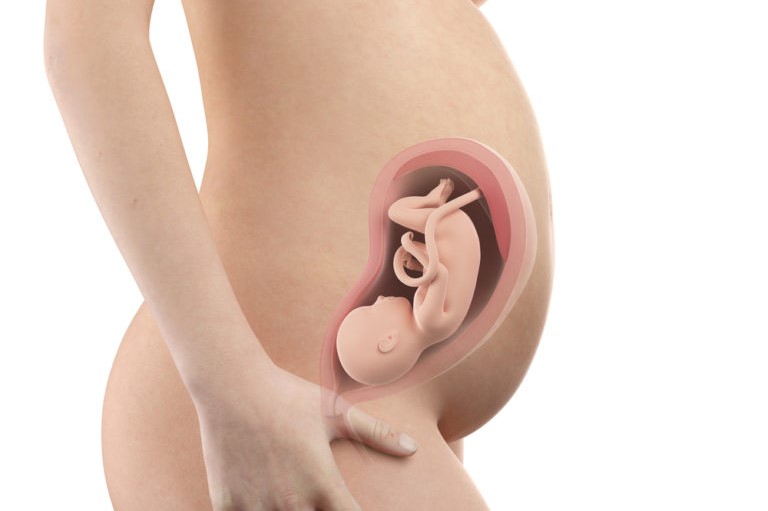 pregnancy-week29