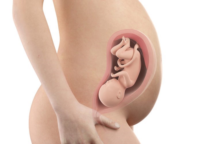 pregnancy-week31