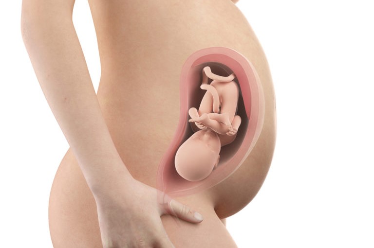 pregnancy-week32