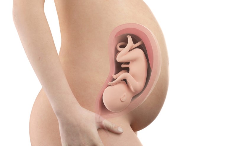 pregnancy-week33