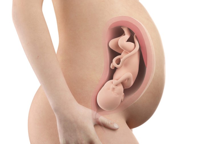pregnancy-week35