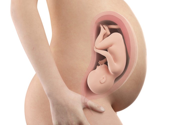 pregnancy-week36