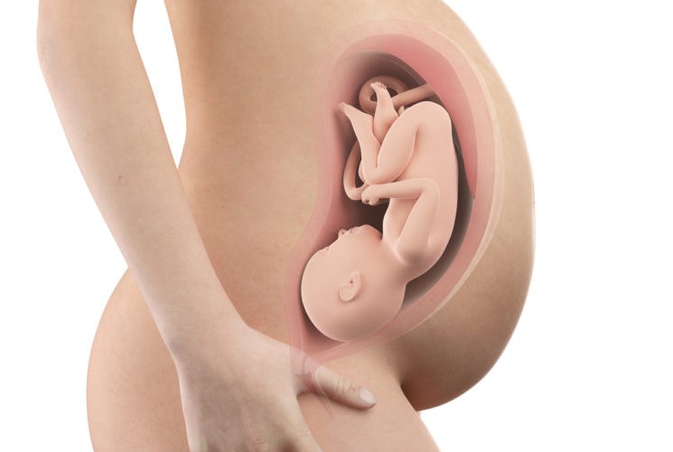 pregnancy-week39