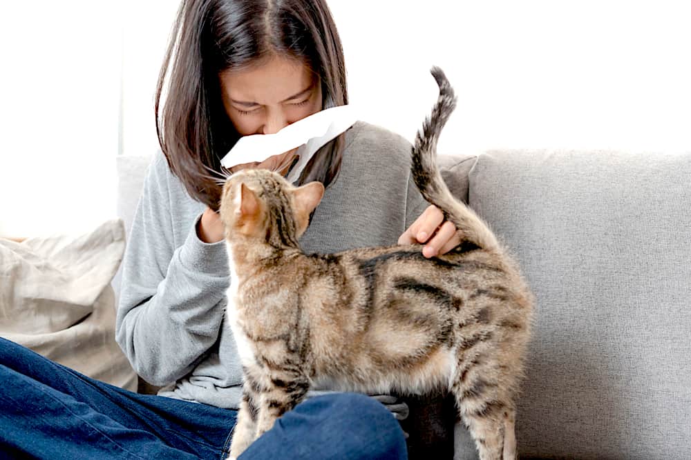 asthma-keep-pets-tips