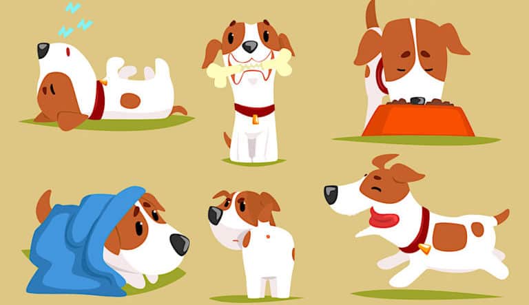 benefits-dogs