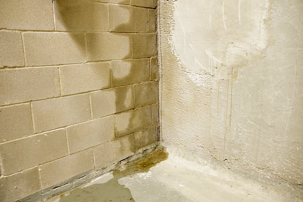 4-basement-house-health-risks-and-ways-to-prevent