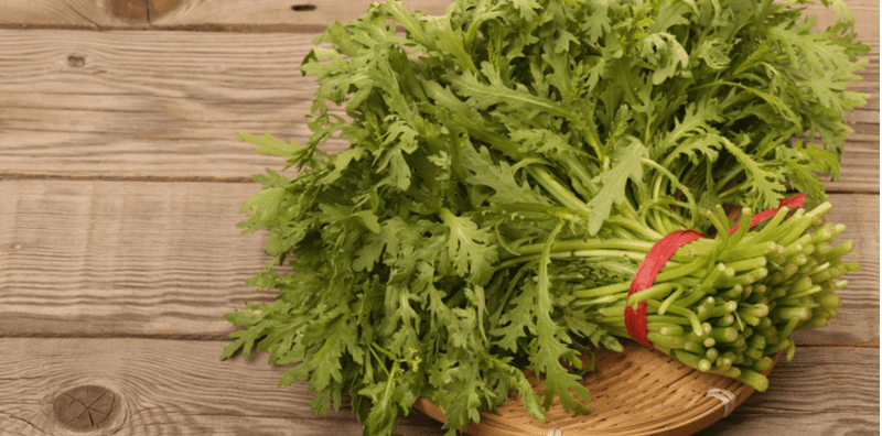benefits-and-facts-about-crown-daisy
