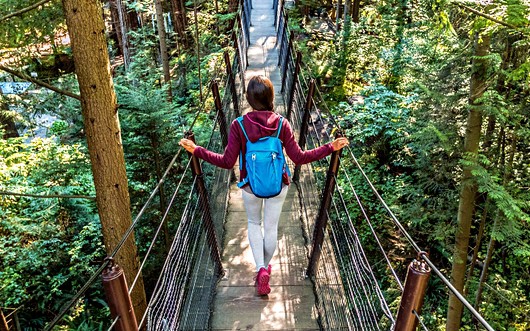 what-is-suspension-bridge-effect