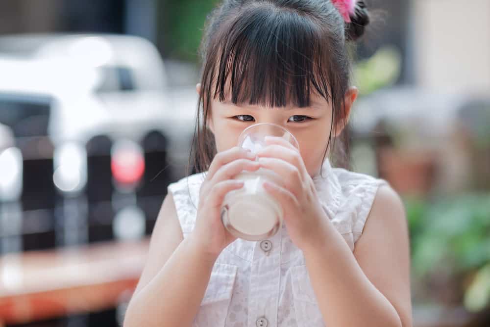 how-to-increase-calcium-absorption