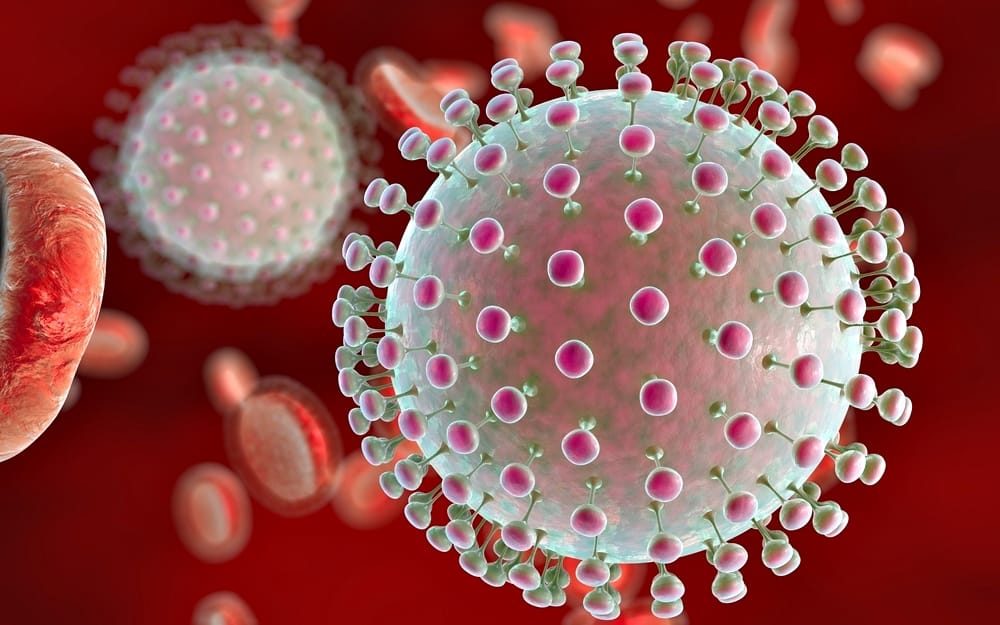 sexual-transmission-of-zika-virus-that-needs-adequate-attention