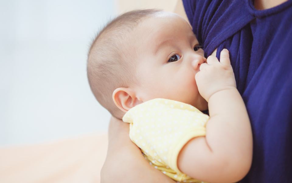 toxins-in-breast-milk