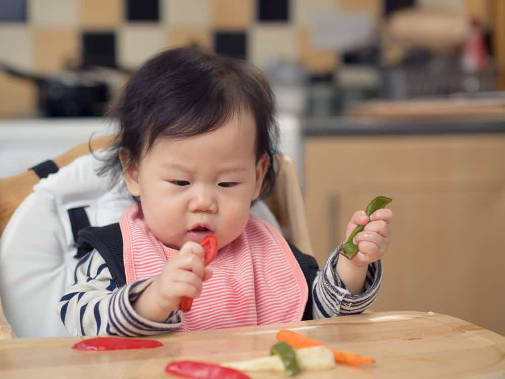 myths-about-solid-foods-debunked