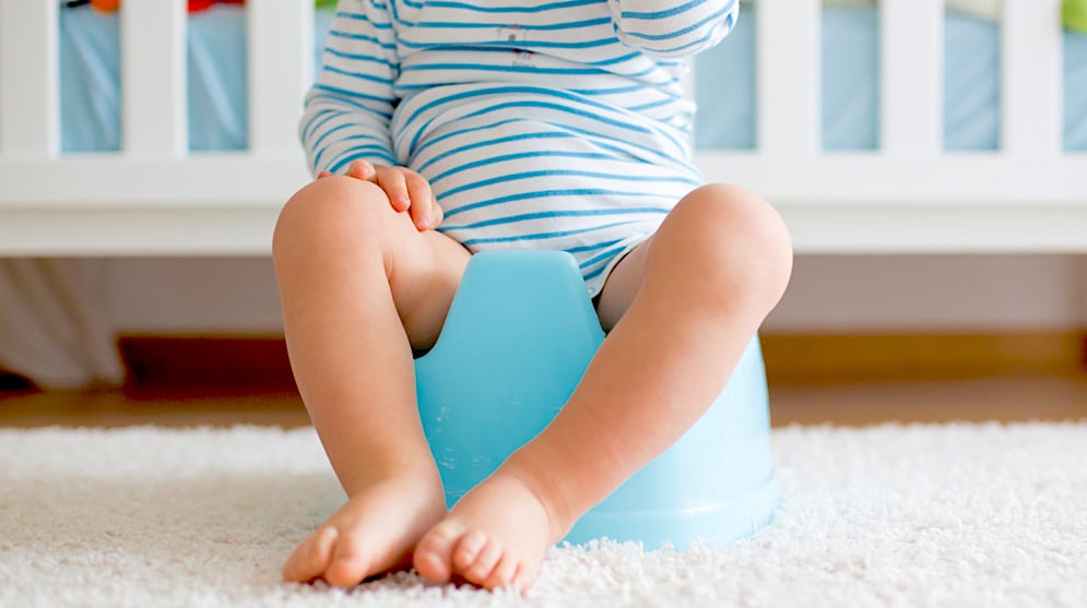 ways-to-train-toddler-poop-potty