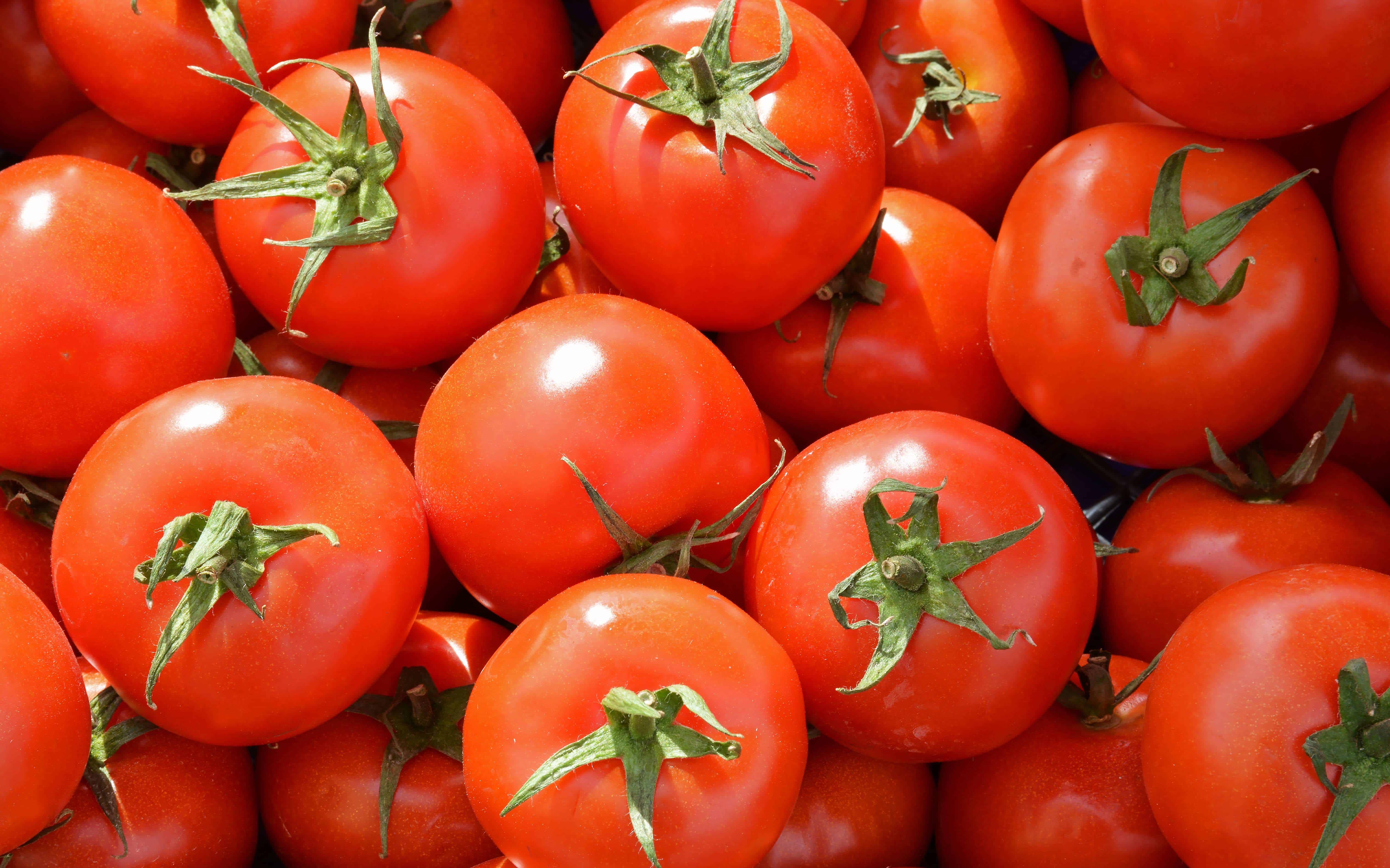 tomato-fruit-or-vegetable