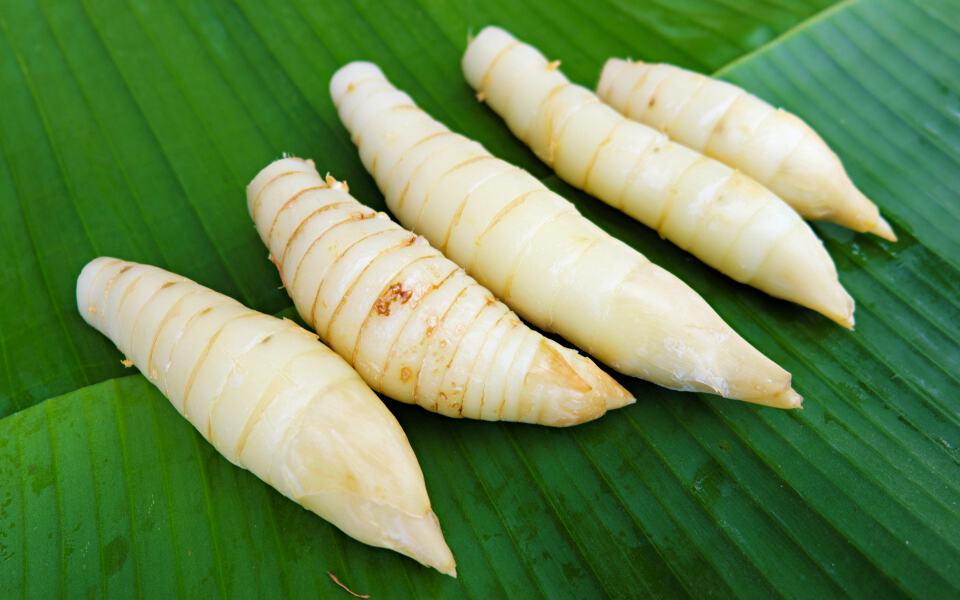 arrowroot-for-a-healthy-baby