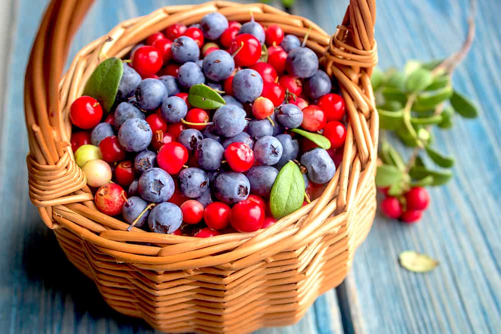 food-to-prevent-urinary-tract-infection