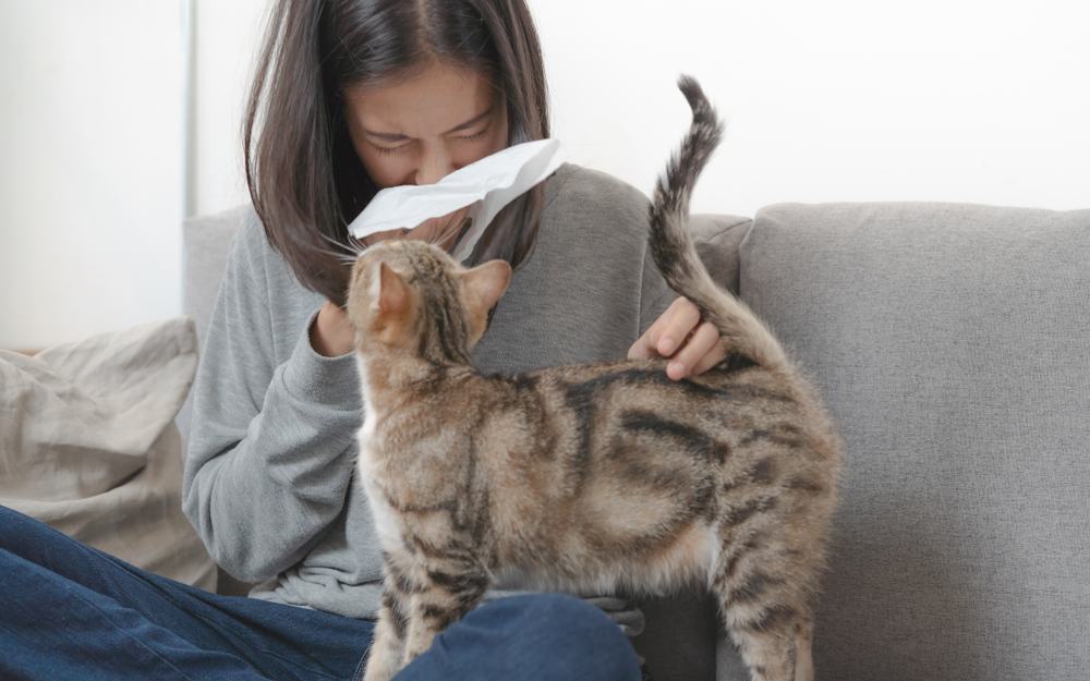 how-to-live-with-your-cat-with-cat-allergy