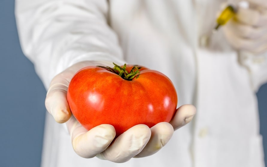 plant-growth-hormone-and-plant-growth-regulator-differences