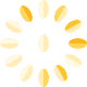 懷孕第 5 週