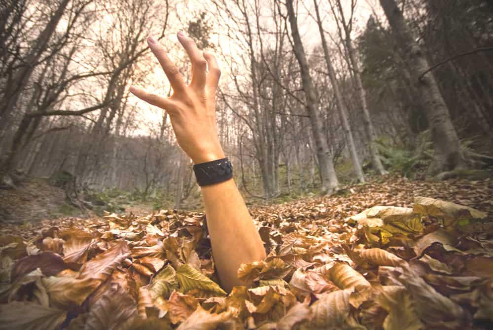 3-life-lessons-we-can-learn-from-zombies