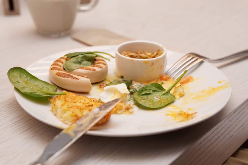 salmonella-and-food-poisoning