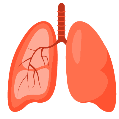 呼吸道健康