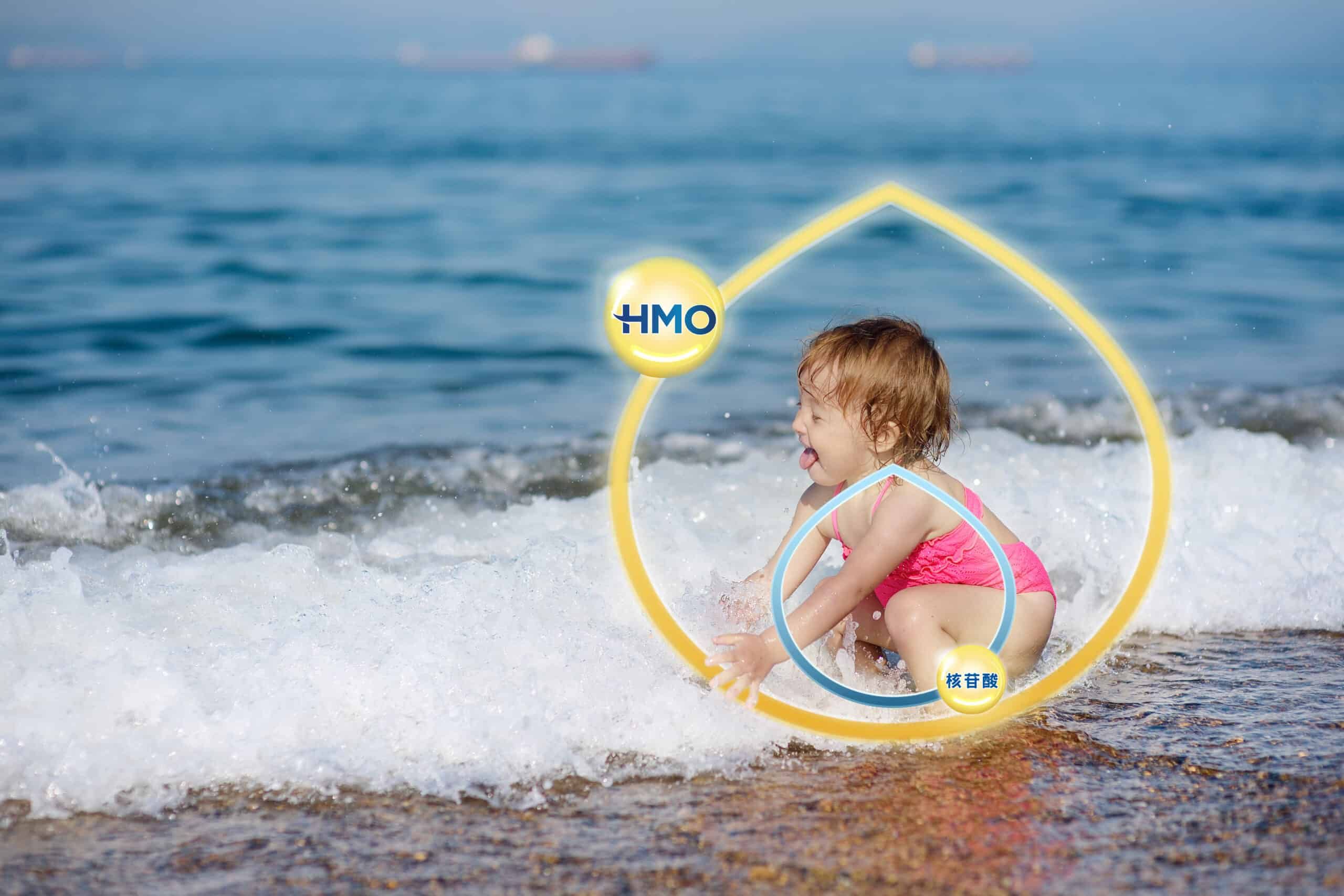 what-is-hmo