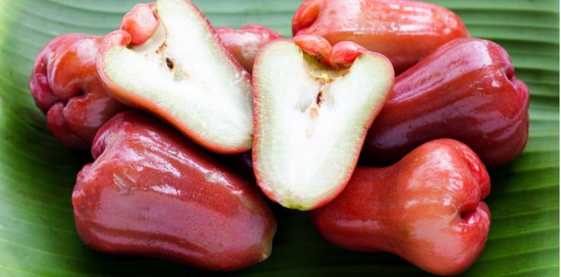 wax-apple
