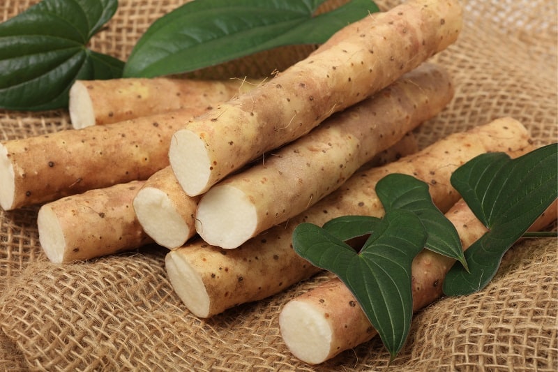 dioscorea-polystachya