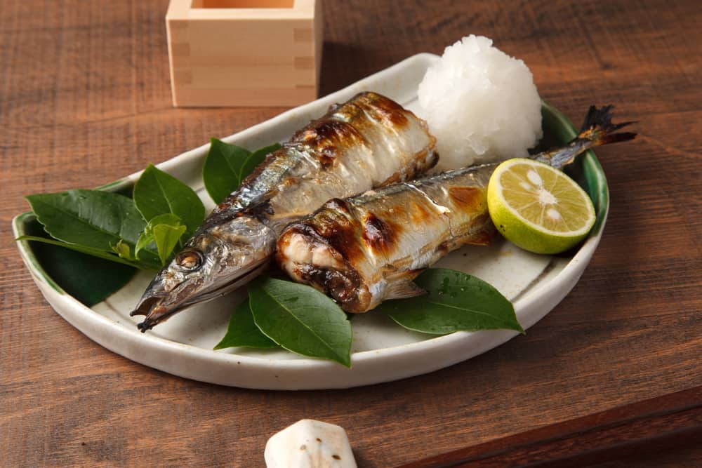 pacific-saury