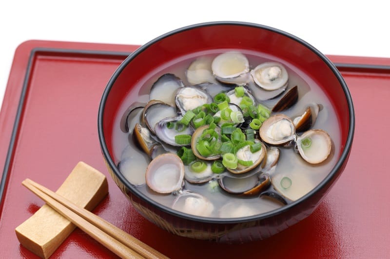 clam