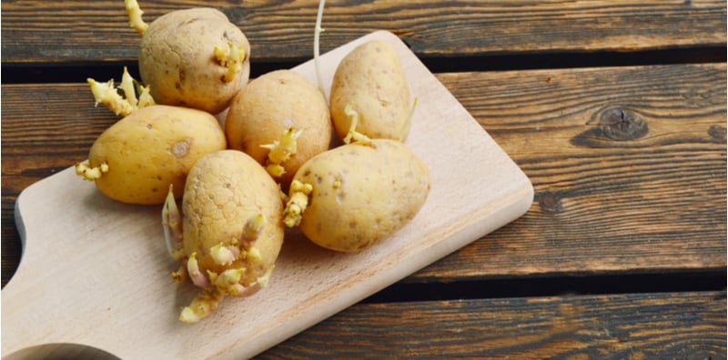 can-i-eat-sprouted-potato